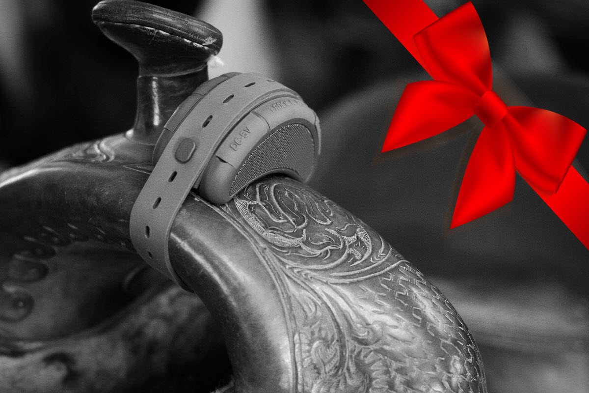 Original Horse Speaker by Horse Speaker maker i Rock n Ride